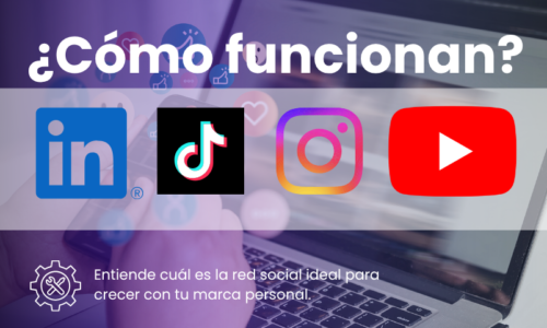 ¿Cómo Funciona LinkedIn + YouTube + Instagram + TikTok?